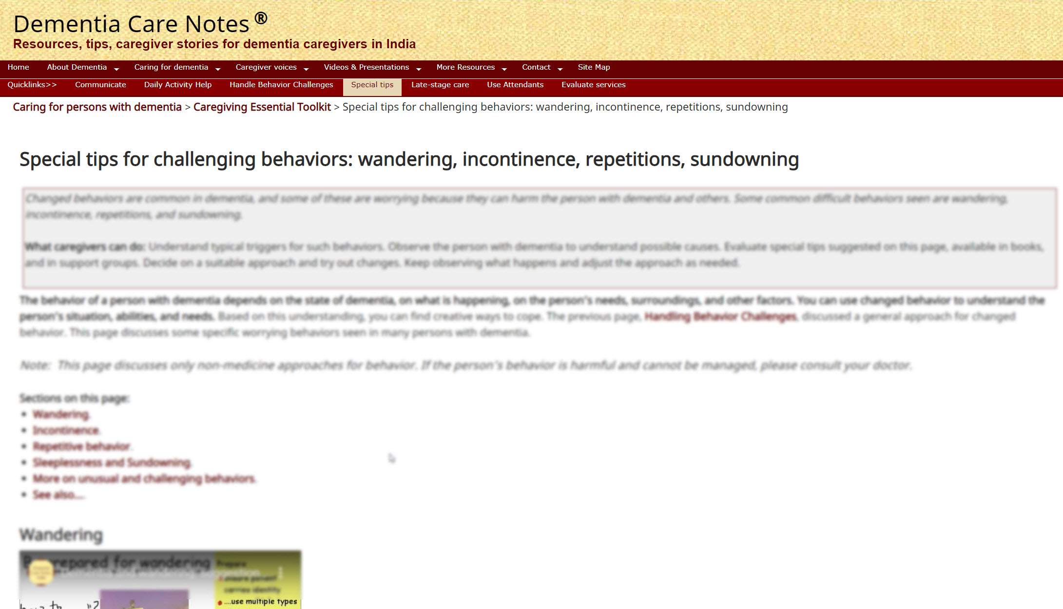 Special tips for challenging behaviors: wandering, incontinence, repetitions, sundowning